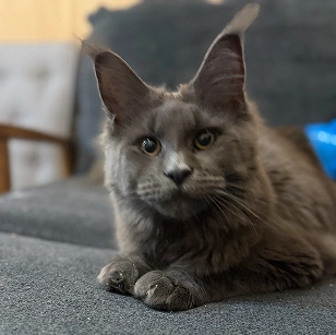 Frame2085664288-ezgif.com-png-to-webp-converter